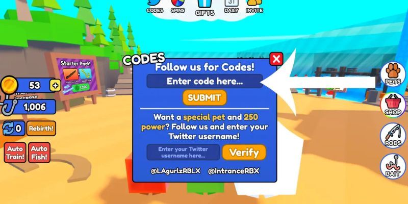 Find the code entry section