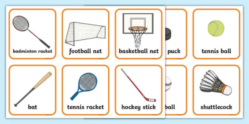 Introduction to types of sports equipment